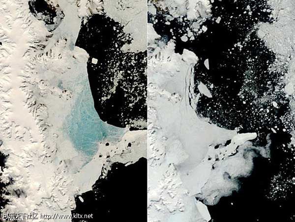 5 2008年12月(左图)和2009年初(右图)，美国宇航局Terra人造卫星拍摄南极洲海冰形式的对比图.jpg